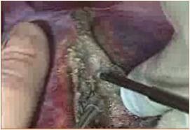 2.png 2.png